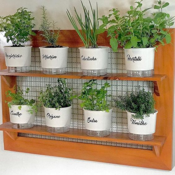 Identificando Ervas e Legumes: Um Jogo de Sabores e Aromas - inspiração 1