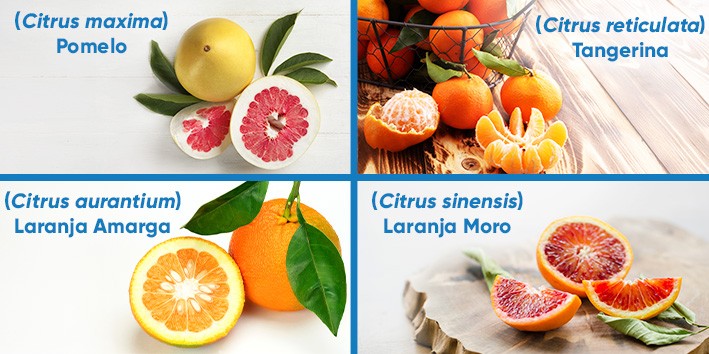 Digestão Turbinada: Adeus Inchaço e Desconforto - inspiração 2