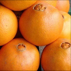 Como a Laranja Bahia de Umbigo Pode Turbinar Sua Imunidade? - inspiração 1