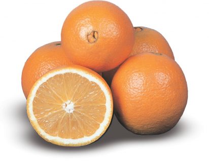 Aroma e Intensidade: Um Olfato que Diz Tudo - inspiração 1