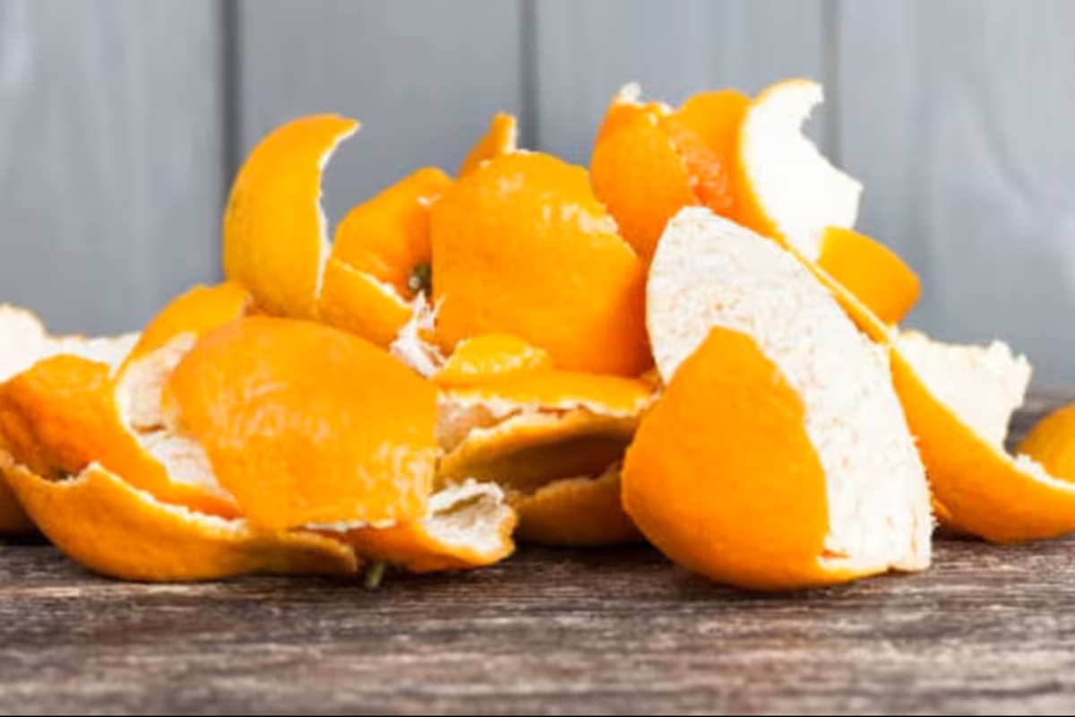 Versatilidade na Cozinha: Receitas Simples e Deliciosas - inspiração 1