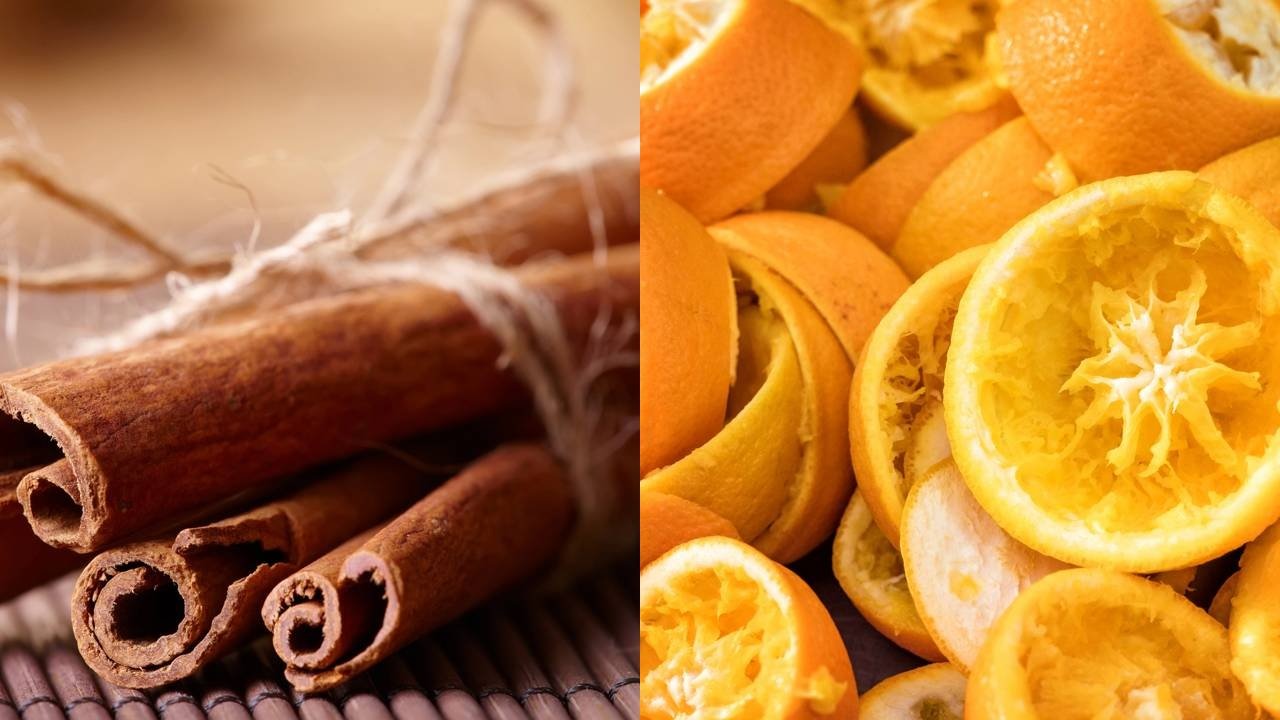 Pele Radiante: Um Tratamento de Dentro Para Fora - inspiração 1