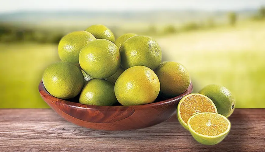 Rica em Vitamina C: Um Escudo Natural para Sua Imunidade - inspiração 2