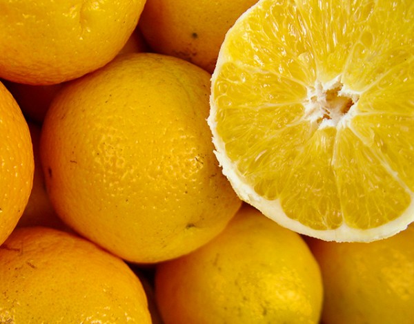 Ação Antioxidante: Combatendo o Envelhecimento Celular - inspiração 1