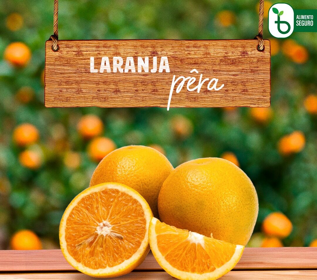 Digestão Amiga: Suavizando o Trato Gastrointestinal - inspiração 1