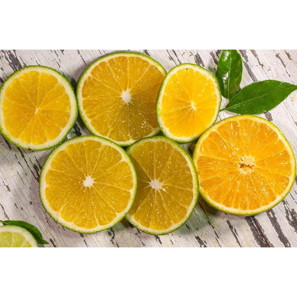 Alívio para a Garganta: Um Conforto Natural - inspiração 1