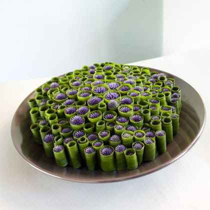 Pragas Comuns Que Deixam as Folhas da Laranjeira Emboladas - inspiração 2