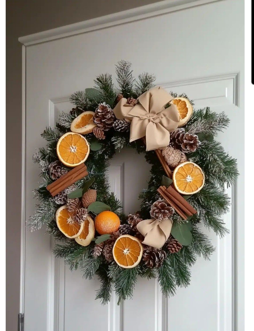 Adubação Estratégica: O Que Sua Laranjeira Precisa - inspiração 2