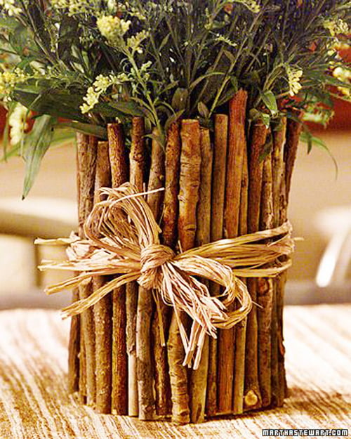 Como Estimular Mais Galhos de Forma Natural - inspiração 2