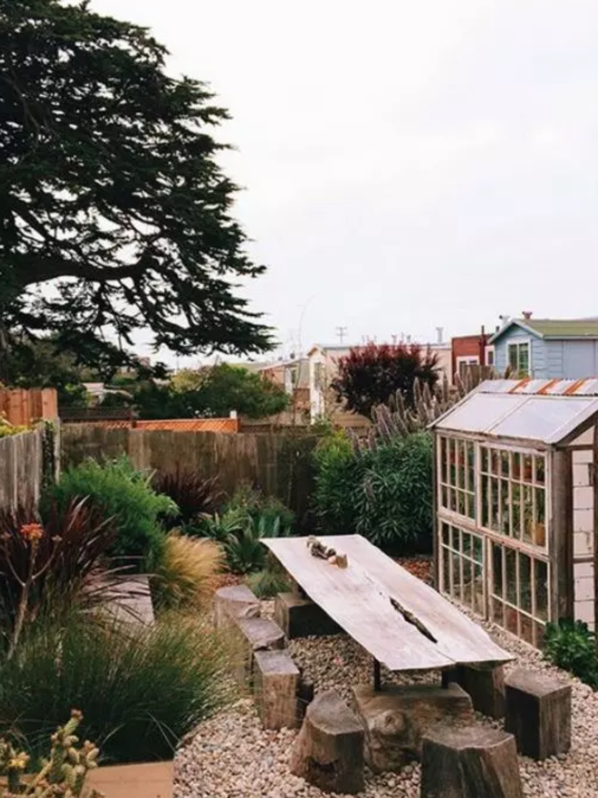 O Protocolo de Limpeza: Removendo a Resina do Tronco - inspiração 1