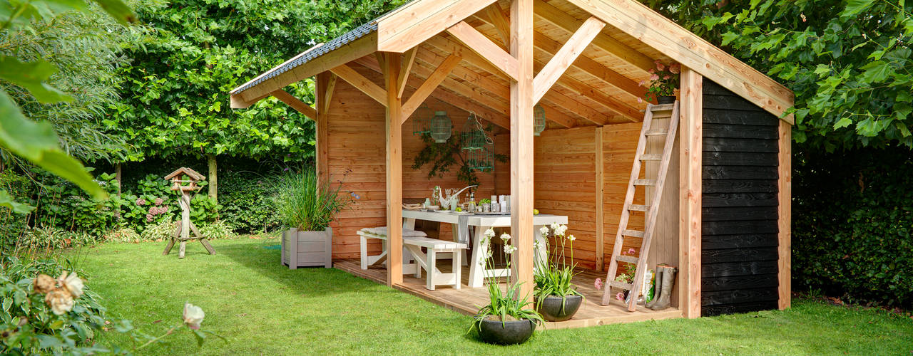 Variedades de Laranjeiras para Seu Jardim Brasileiro - inspiração 1