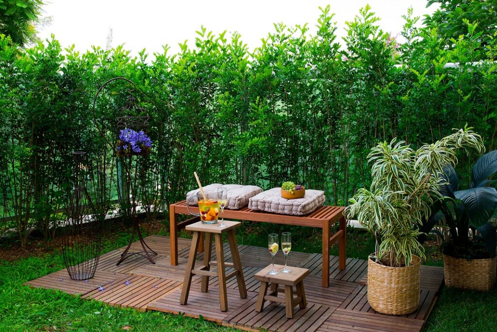 Variedades de Laranjeiras para Seu Jardim Brasileiro - inspiração 2