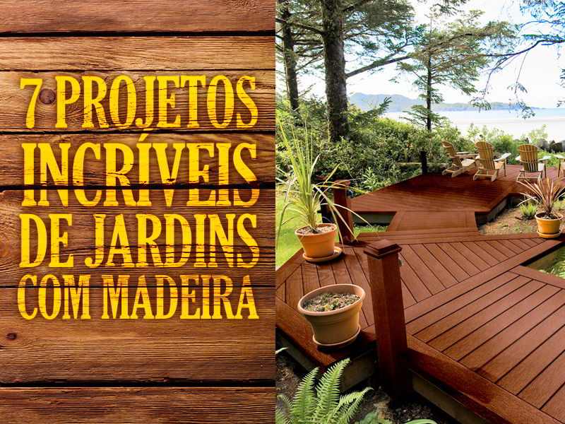 Laranjeiras em Vasos: Soluções Charmosas para Espaços Pequenos - inspiração 2