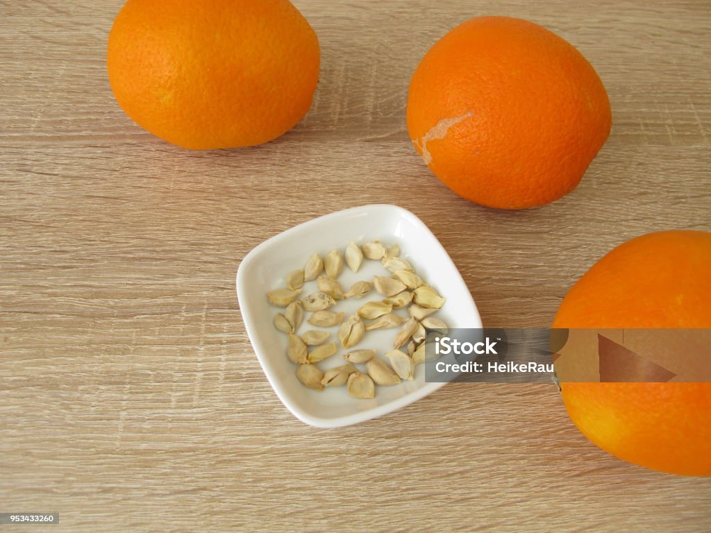 Colhendo os Primeiros Frutos: A Recompensa da Paciência - inspiração 2