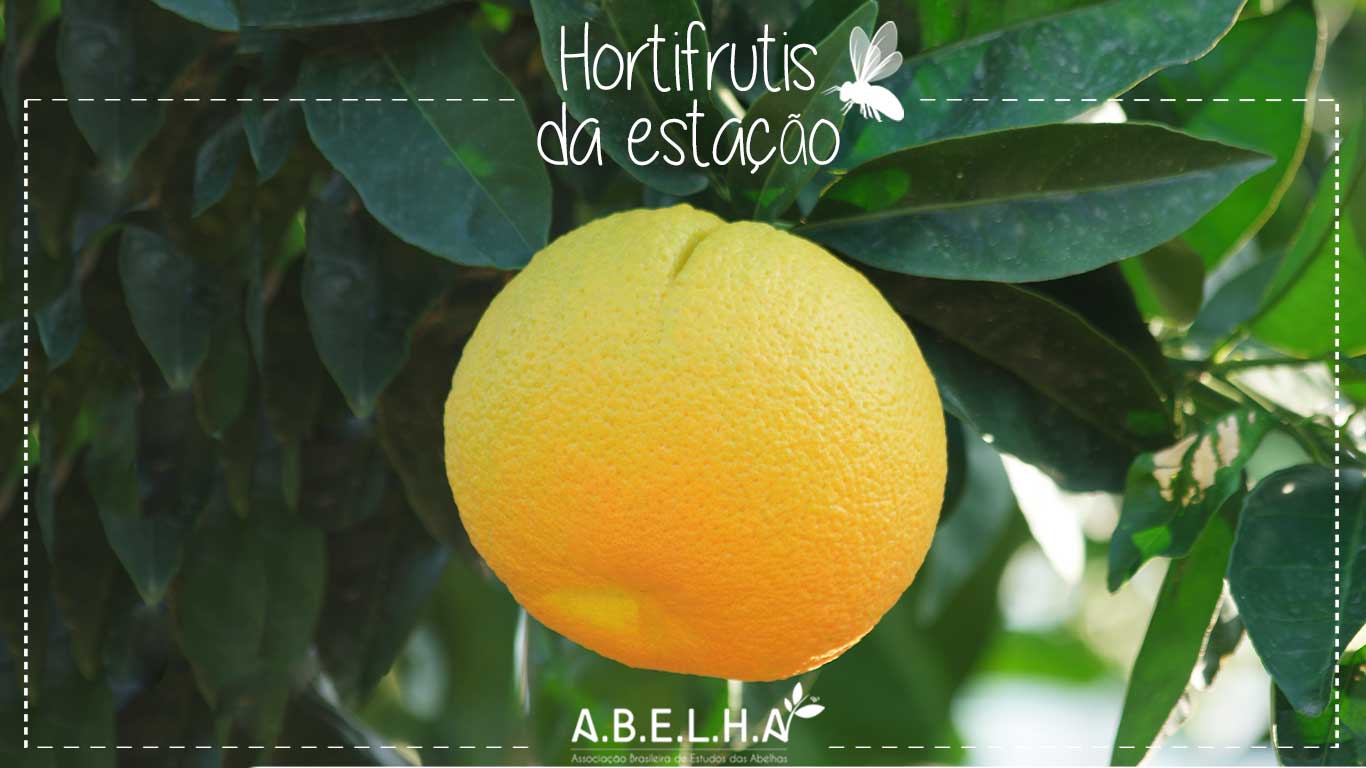 Poda e Manutenção: Moldando Sua Árvore Frutífera - inspiração 2