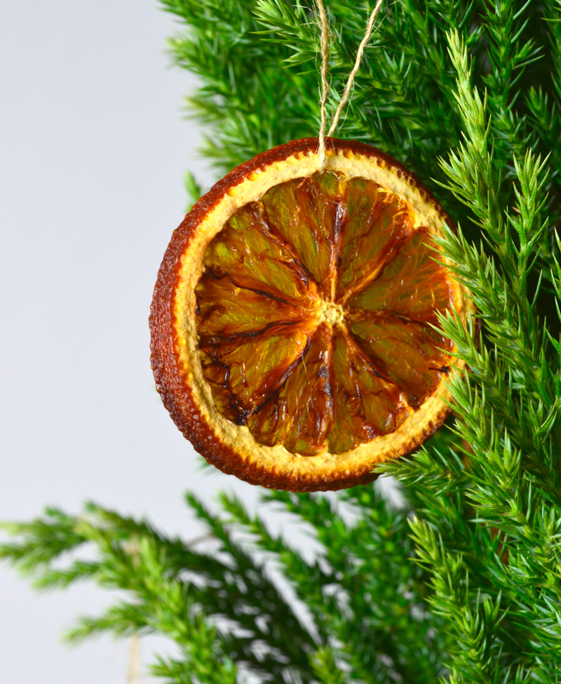 Problemas no Solo: Compactação, Salinidade e Má Drenagem - inspiração 2