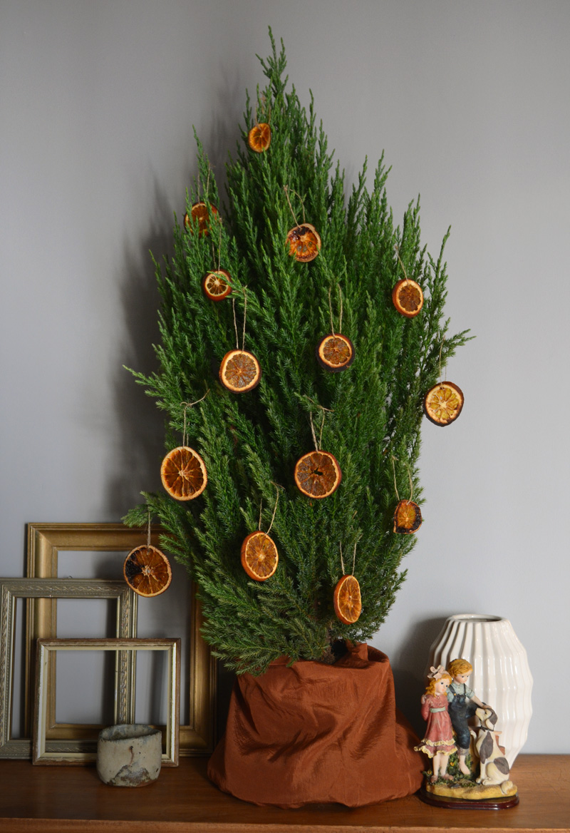 Danos Físicos ou Ambientais: Vento, Sol Forte e Choques Térmicos - inspiração 1