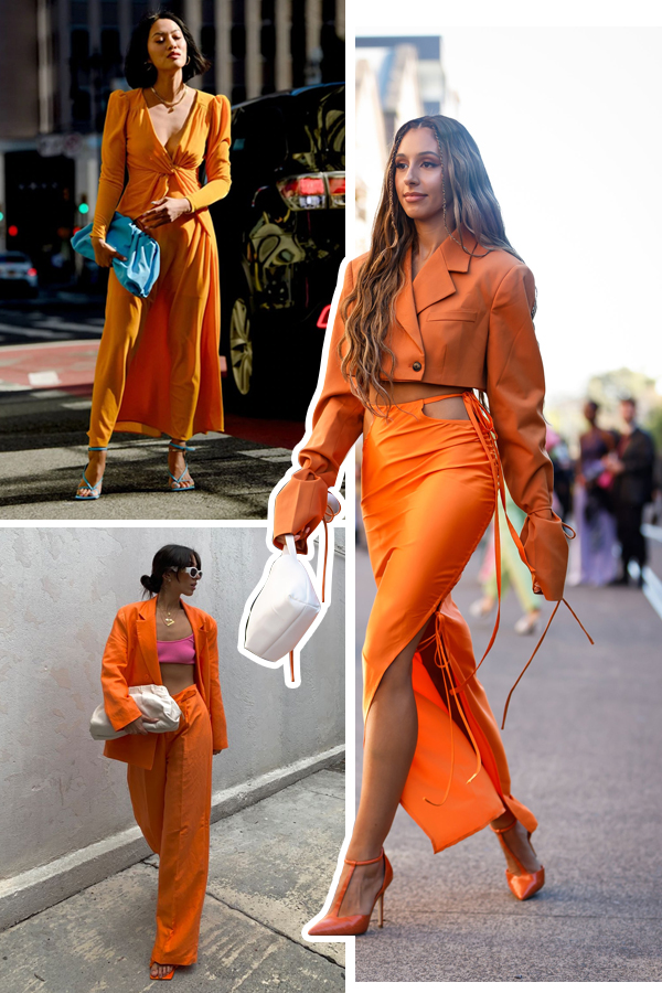 Atenção aos Inimigos: Pragas e Doenças Comuns - inspiração 2