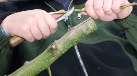 Preparo Essencial: Ferramentas e Materiais que Você Precisa - inspiração 2