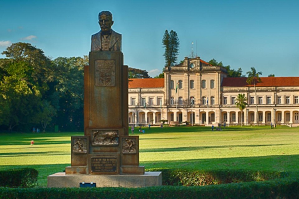 Qualidade do Corpo Docente: Mestres e Doutores no Comando - inspiração 1