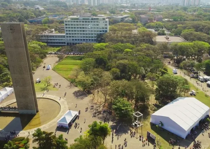 Inserção no Mercado de Trabalho: O Sucesso dos Formandos - inspiração 1