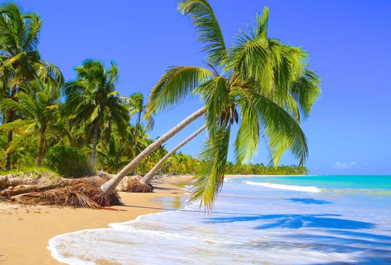 Fernando de Noronha, Pernambuco: Paraíso Ecológico e Vida Marinha Exuberante - inspiração 2