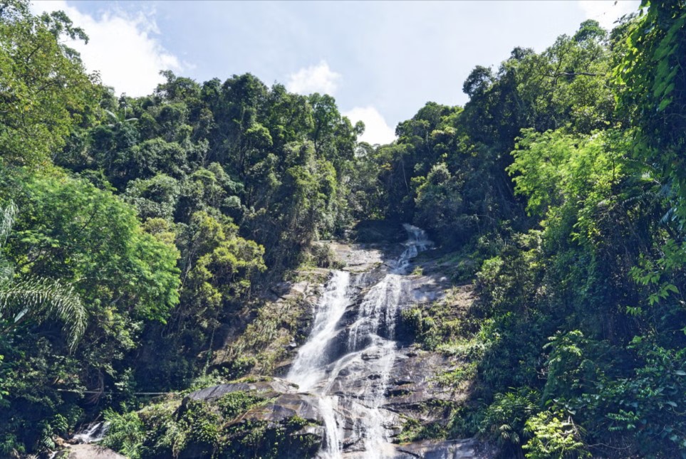 Trilha da Urca: Um Passeio Charmoso com Vista para o Cristo - inspiração 1
