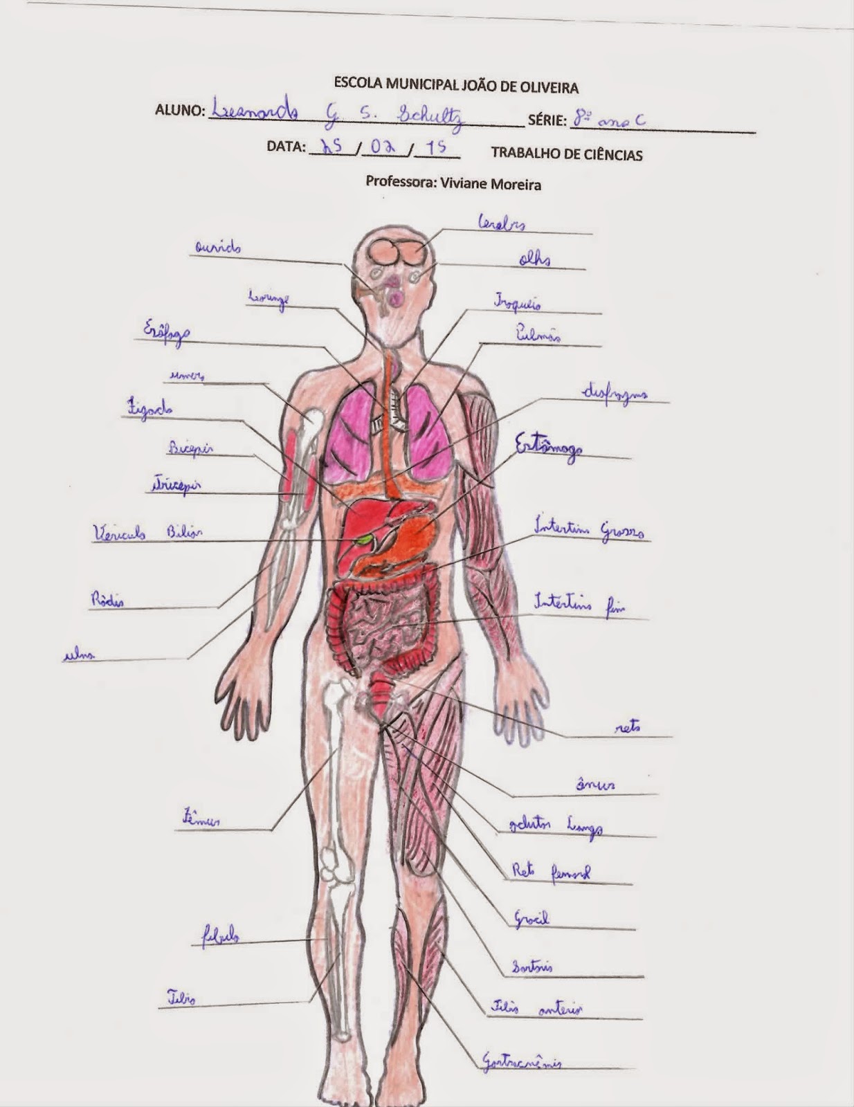 Tronco: O Centro de Sustentação - inspiração 1