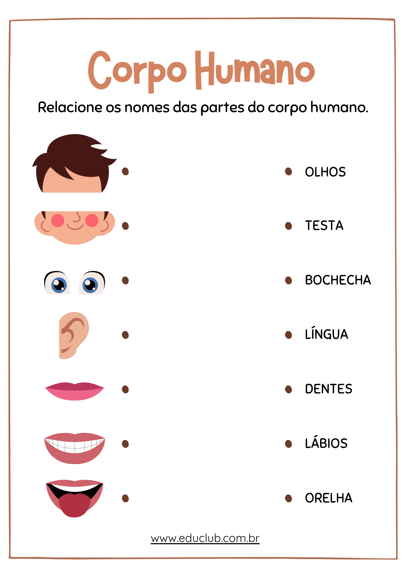 Membros Superiores: Braços, Antebraços e Mãos - inspiração 2