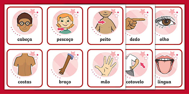 Abdômen e Costas: Fortalecimento Essencial - inspiração 2