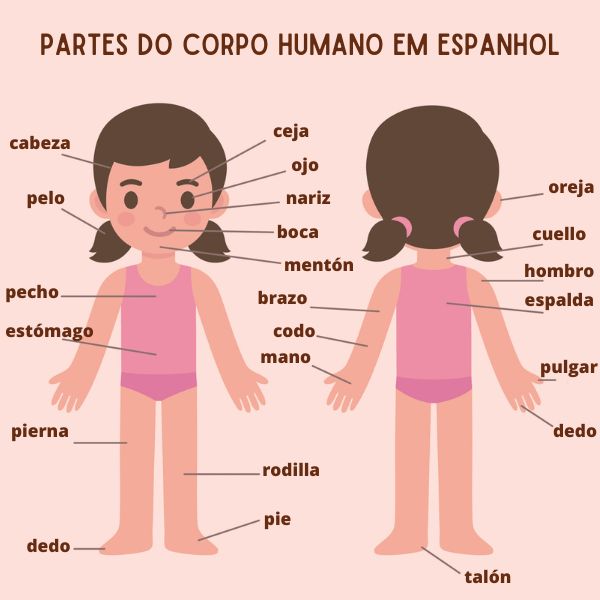 Membros Inferiores: Pernas, Coxas e Pés - inspiração 2