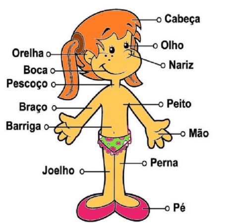 Região Pélvica: A Base do Corpo - inspiração 1