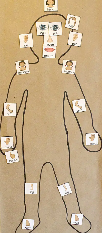 Região Pélvica: A Base do Corpo - inspiração 2