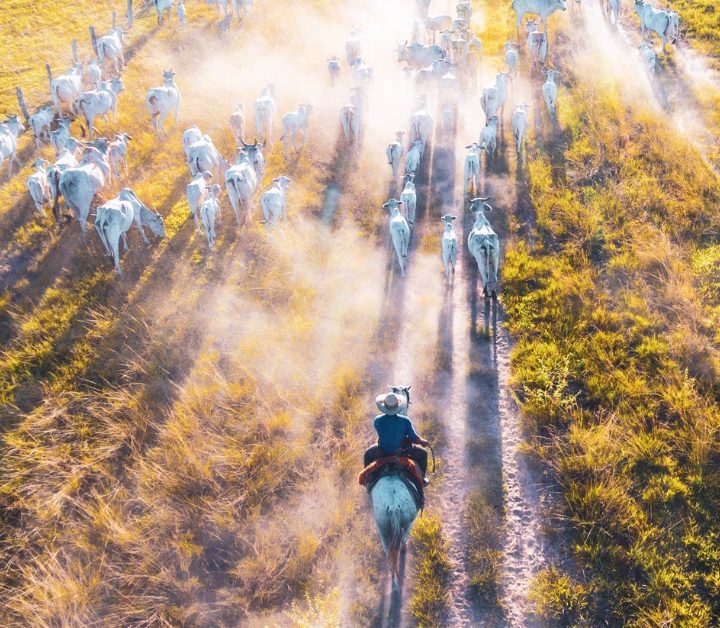 Exploração da Ponte de Ferro: Um Ícone Histórico e Geográfico - inspiração 2