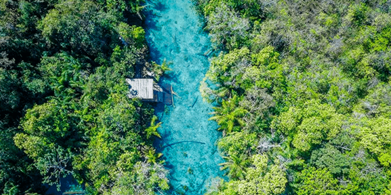 Trilhas e Observação de Fauna no Pantanal Próximo - inspiração 1