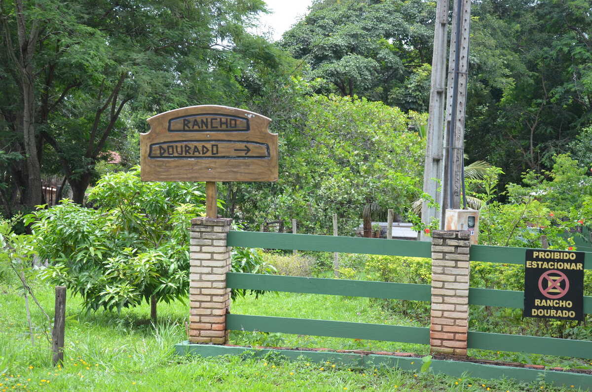 Passeios de Barco pelo Rio Aquidauana: Vivenciando o Cotidiano Pantaneiro - inspiração 2