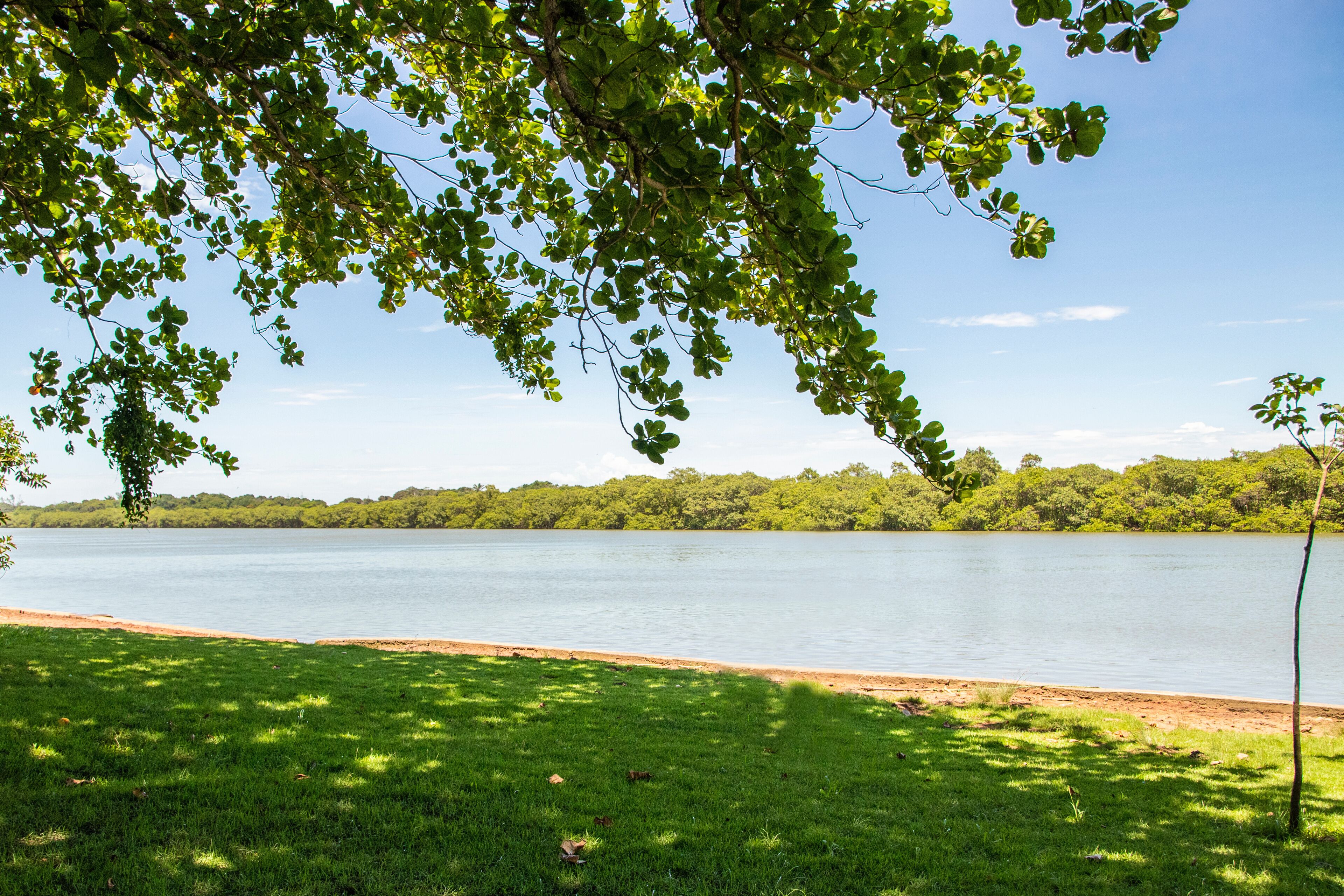 Visita ao Parque Estadual Costa do Sol: Natureza Preservada - inspiração 1