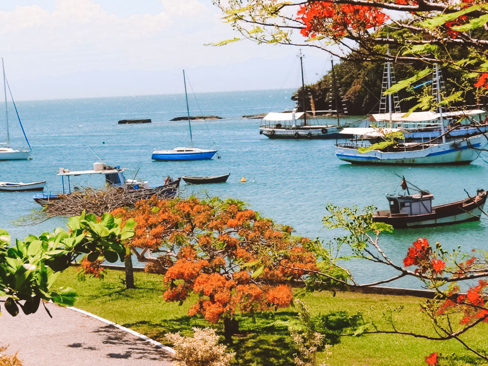 Gastronomia Buziana: Sabores Que Encantam - inspiração 1