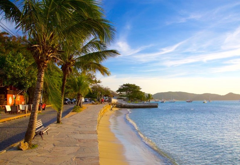 Dicas de Transporte: Como se Locomover Facilmente - inspiração 2