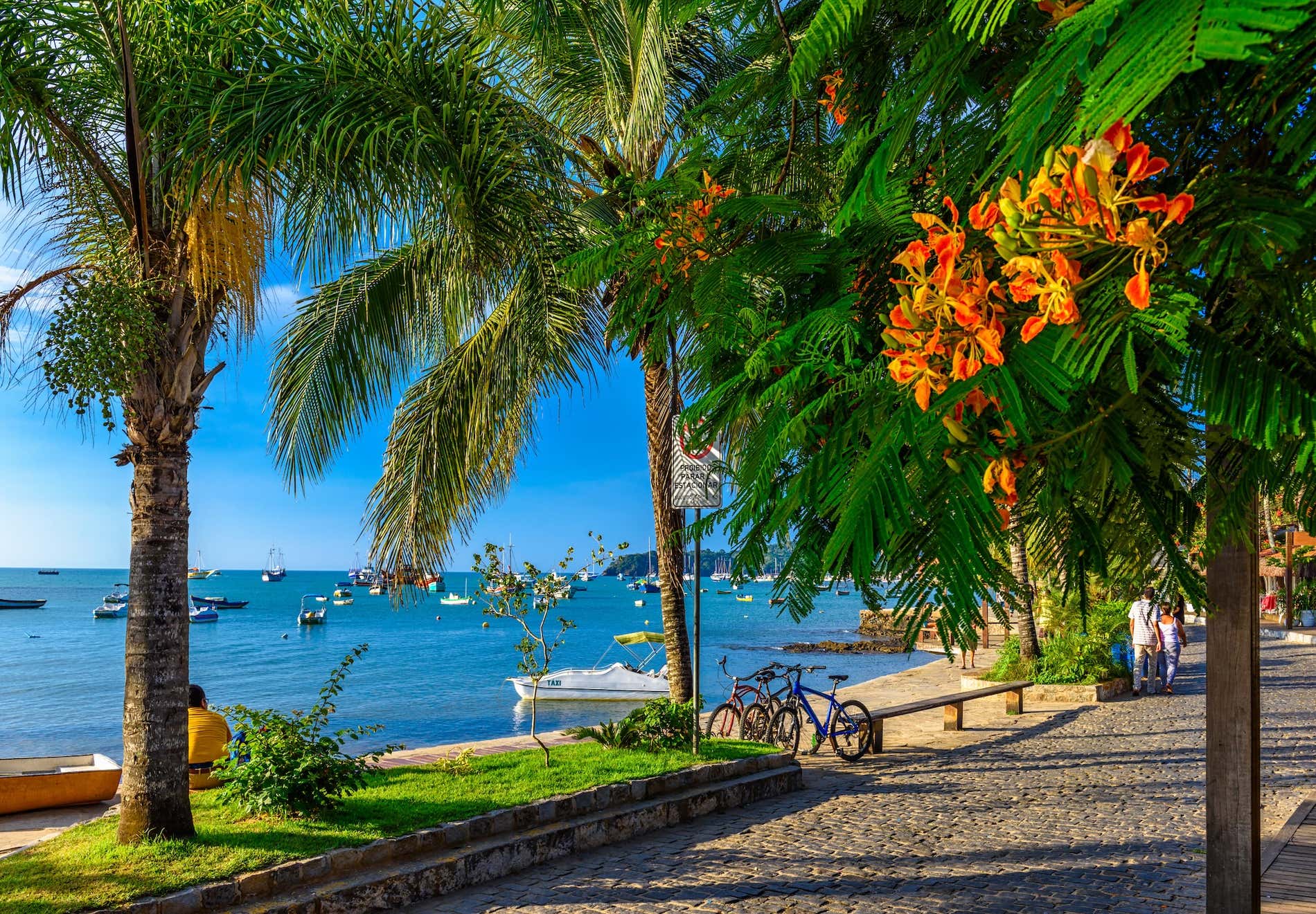 Onde Ficar: Opções Para o Seu Conforto - inspiração 1