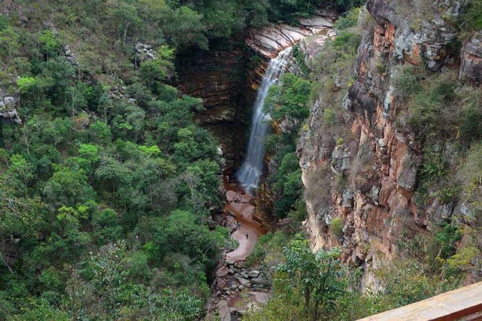 Explore o Engenho da Vitória e Aprenda sobre a Produção de Aguardente - inspiração 2