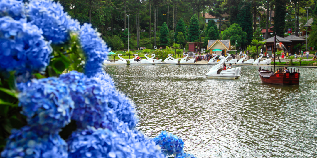 Mundo a Vapor: Uma Viagem pela História da Industrialização - inspiração 2