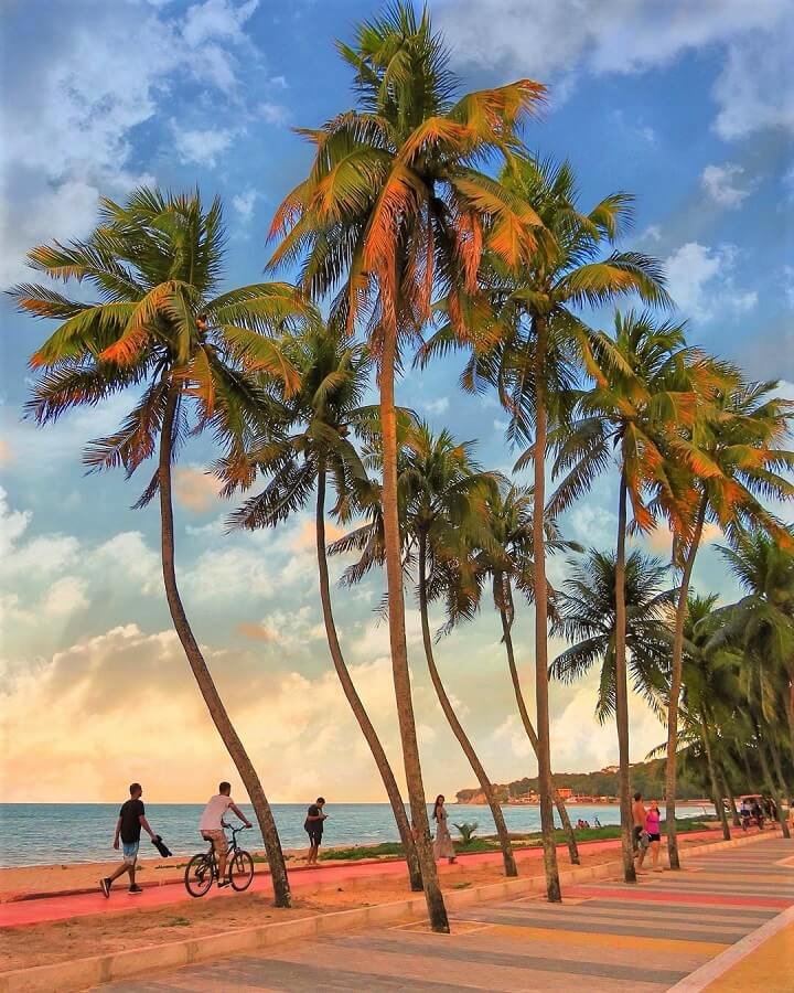 Pôr do Sol na Praia do Jacaré: Um Espetáculo Musical Inesquecível - inspiração 2