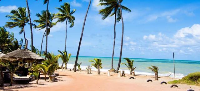 Mercado de Artesanato Paraibano: Leve um Pedaço da Paraíba com Você - inspiração 2