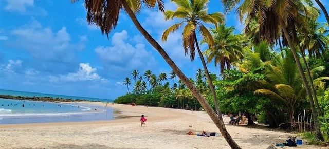 Passeio de Catamarã pelo Rio Paraíba: Belezas Naturais e Aventura - inspiração 1