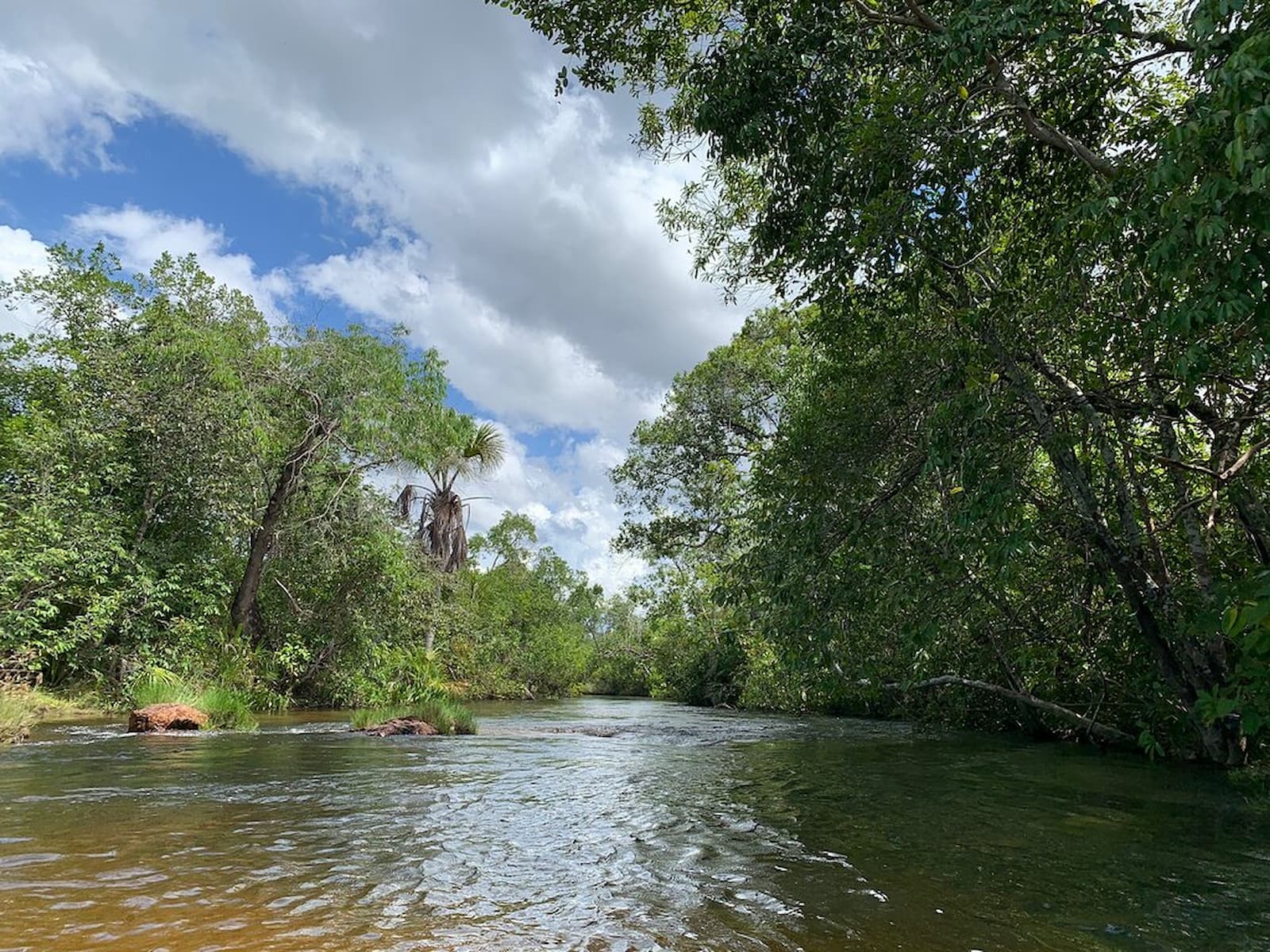 Relaxe nas Águas Cristalinas do Fervedouro Buriti - inspiração 2