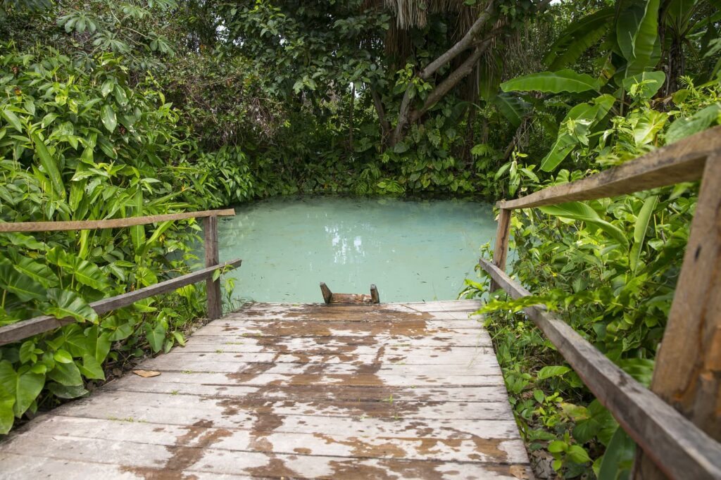 Explore a Cachoeira da Velha: Uma Queda D'água Imponente - inspiração 1