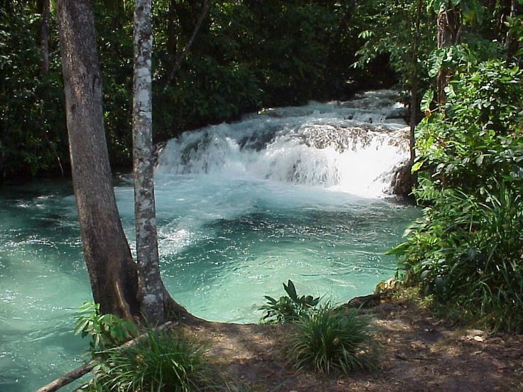 Visite o Cânion Sussuapara: Um Oásis Escondido - inspiração 1