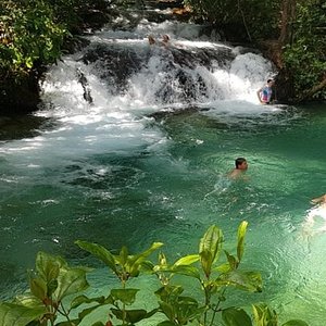 Saboreie a Culinária Tocantinense - inspiração 1