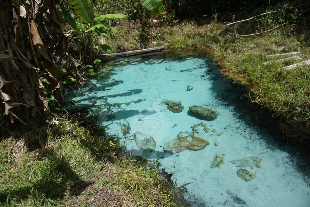 Saboreie a Culinária Tocantinense - inspiração 2